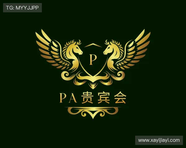 解读PA贵宾会